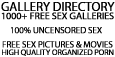 gallery-directory.com