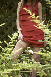 stocking nylons leggy